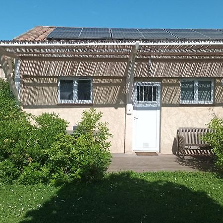 L'APARTE - Studio Les AMANDIERS Pignans Extérieur photo